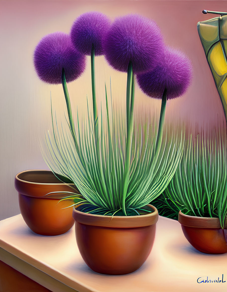 Vibrant purple spherical blooms in terracotta pots with green foliage on warm background