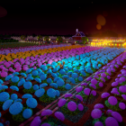 Vibrant multicolored flowers in fantastical night landscape