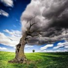 Surreal landscape with stylized trees, person under inclined tree, looming clouds, and distant tents