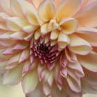 Smiling young girl with flower in hair at cottage garden