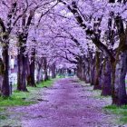 Vibrant purple foliage in a twilight forest with twisted tree trunks