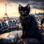 Fluffy black cat with striking eyes overlooking Paris sunset and Eiffel Tower