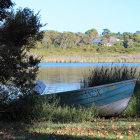 Old Blue Boat Resting on Shore Amidst Wildflowers and Calm River