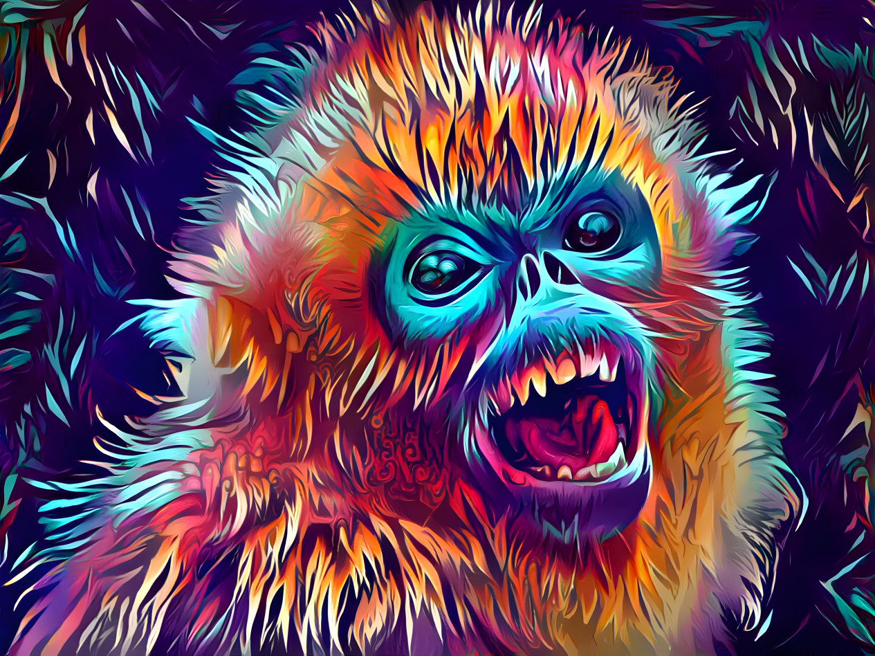 Vivid Monkey