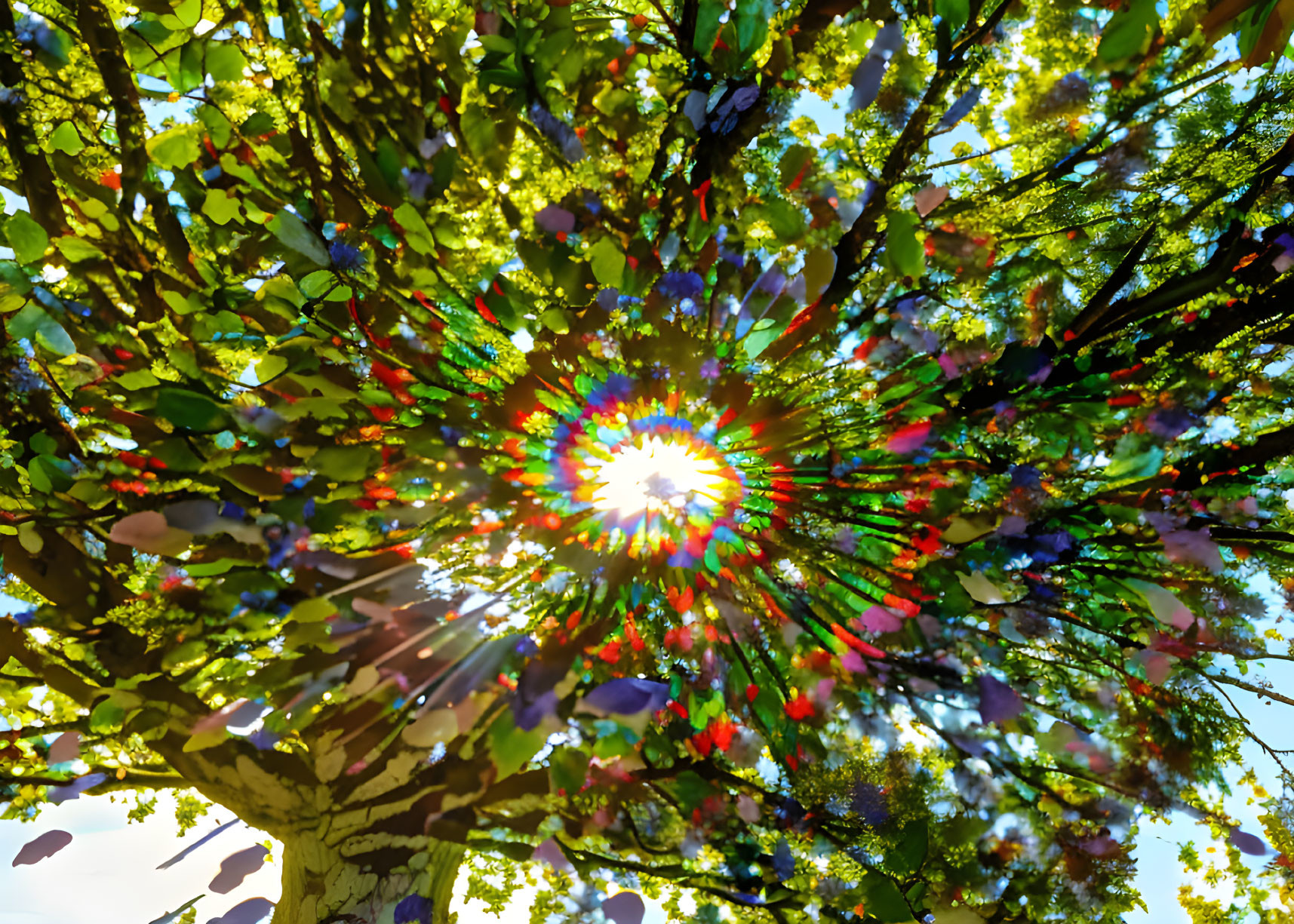 Vibrant sunlight through colorful tree leaves against blue sky