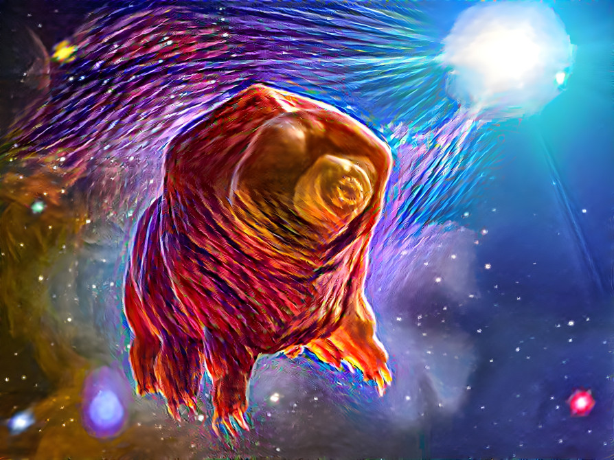 Tardigrade colors 