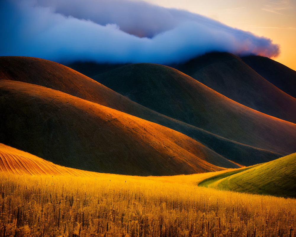 Scenic sunset: rolling hills in golden and green hues under a cloud-filled sky