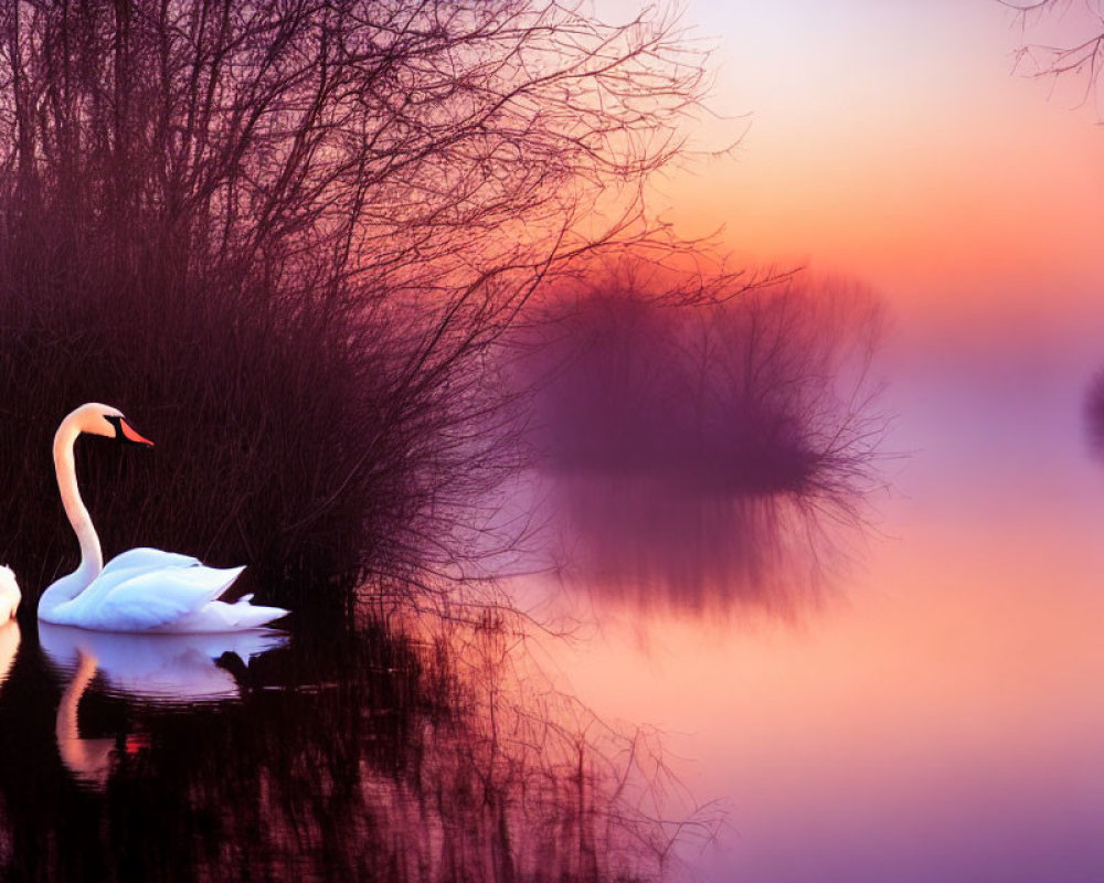 Tranquil sunset lake scene with swans and vibrant colors