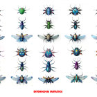 Twenty Colorful Beetle Illustrations on White Background