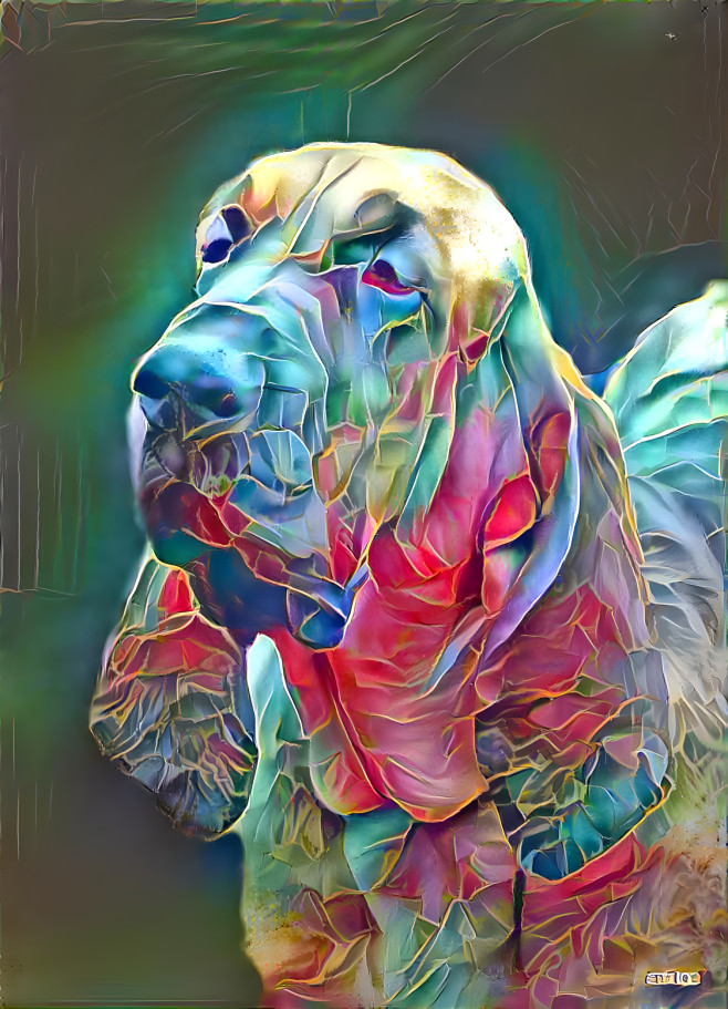 My bloodhound girl PEARLEEN