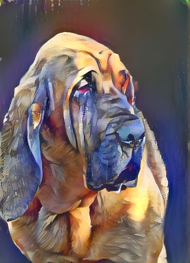 My bloodhound boyPeppino