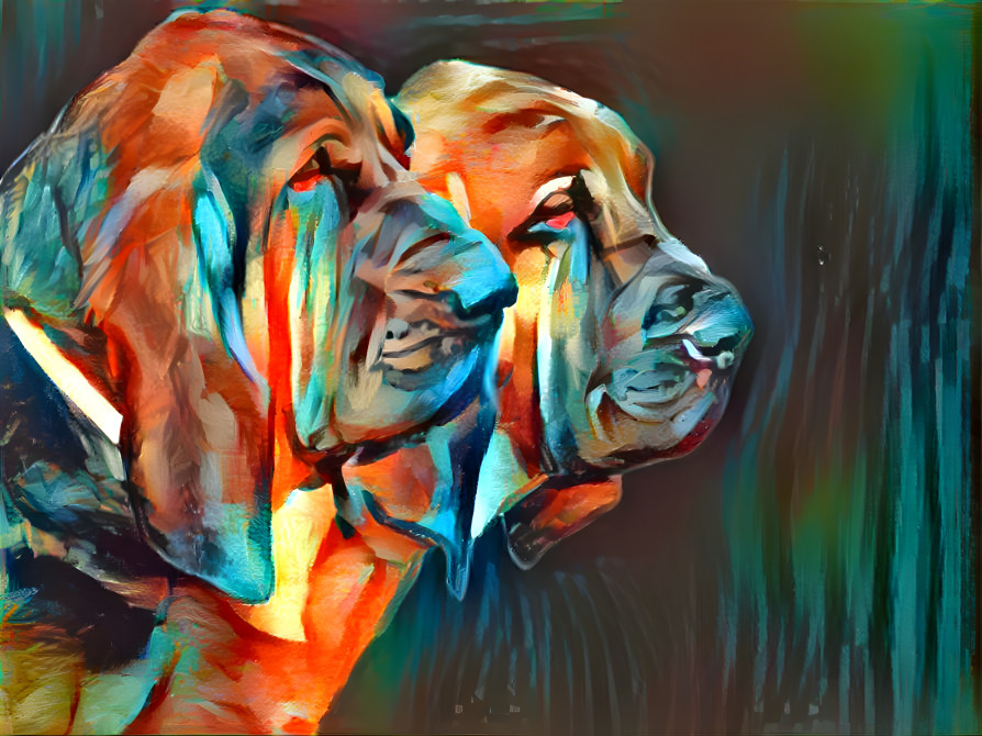 My bloodhounds: Vondracek & his son Peppino