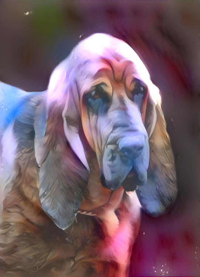 My bloodhound boy PEPPINO