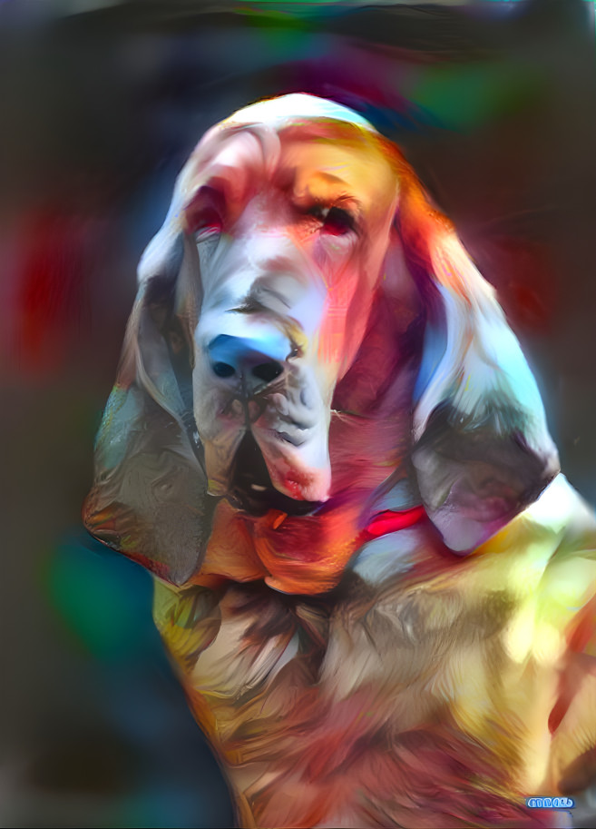 My bloodhound boy RUFUS