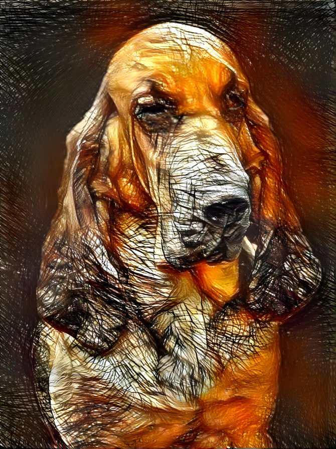 My bloodhound girl CARMEN