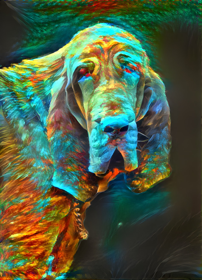 My  bloodhound girl IRANDA