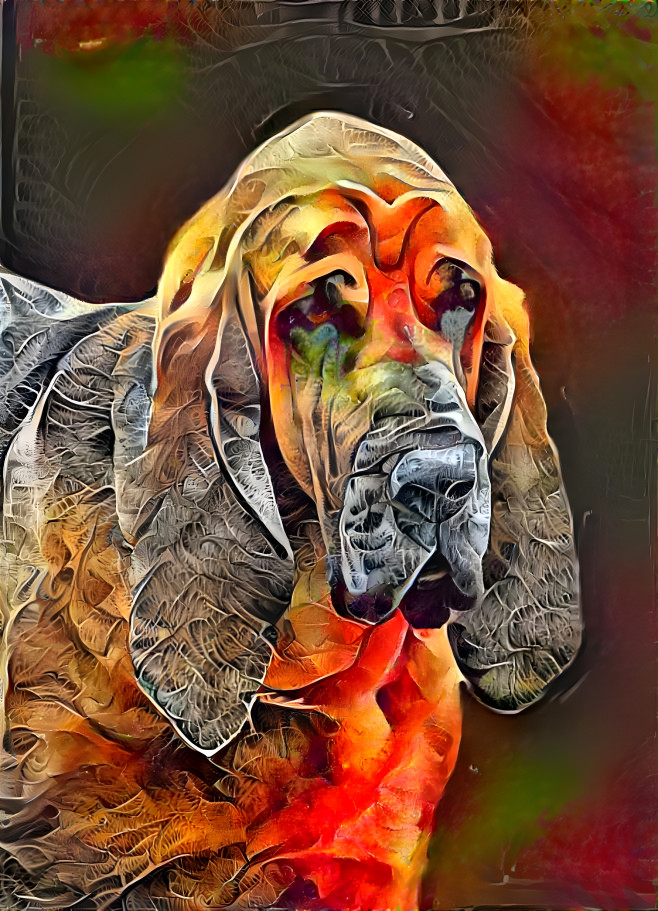 My bloodhound boy PEPPINO