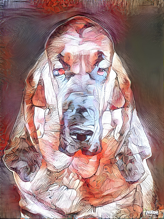 My bloodhound girl LORENZA