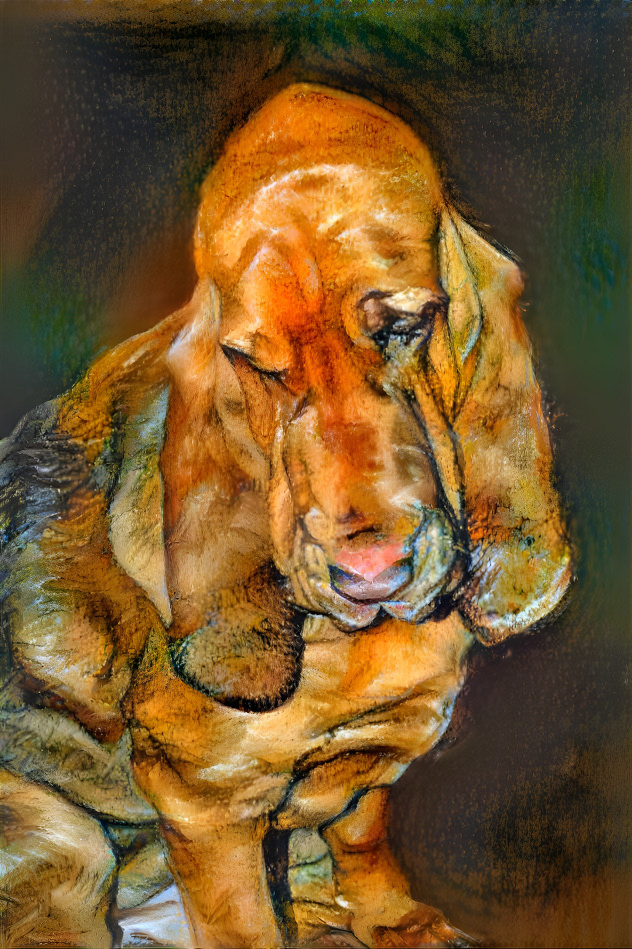 My bloodhound boy RUFUS