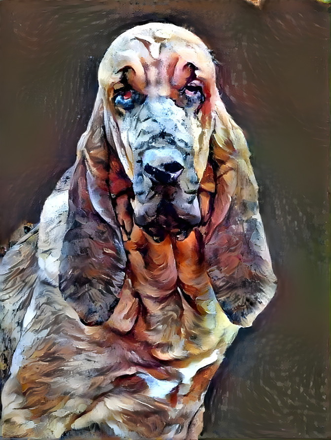 My bloodhound girl IRMA