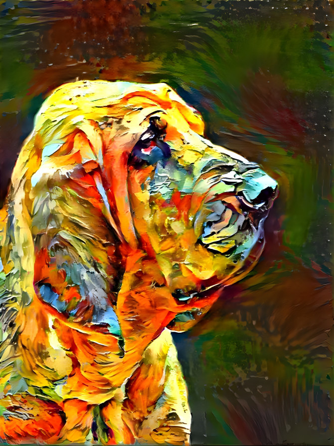 My bloodhound girl SYRENKA