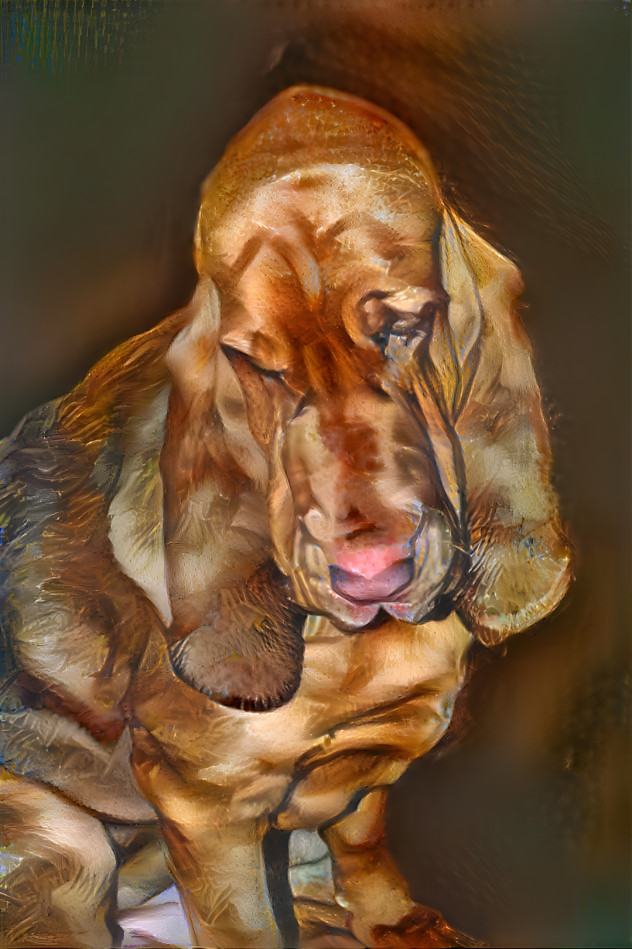 My bloodhound boy RUFUS