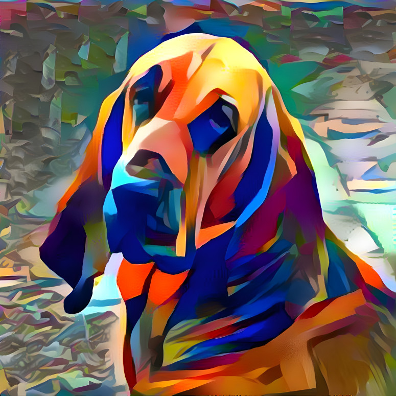 My bloodhound girl CARMEN