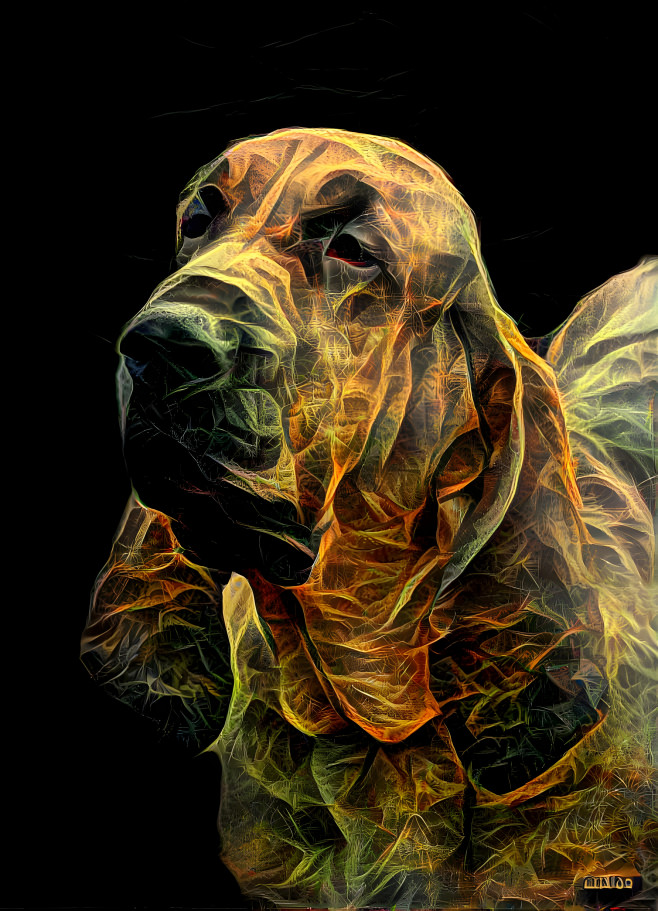 My bloodhound girl PEARLEEN