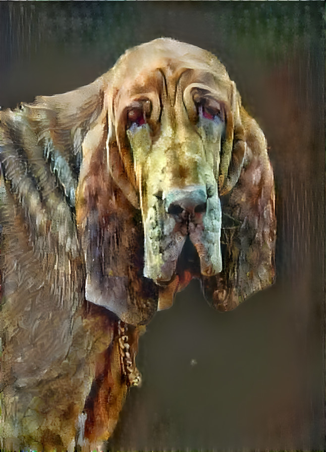 My bloodhound girl IRANDA