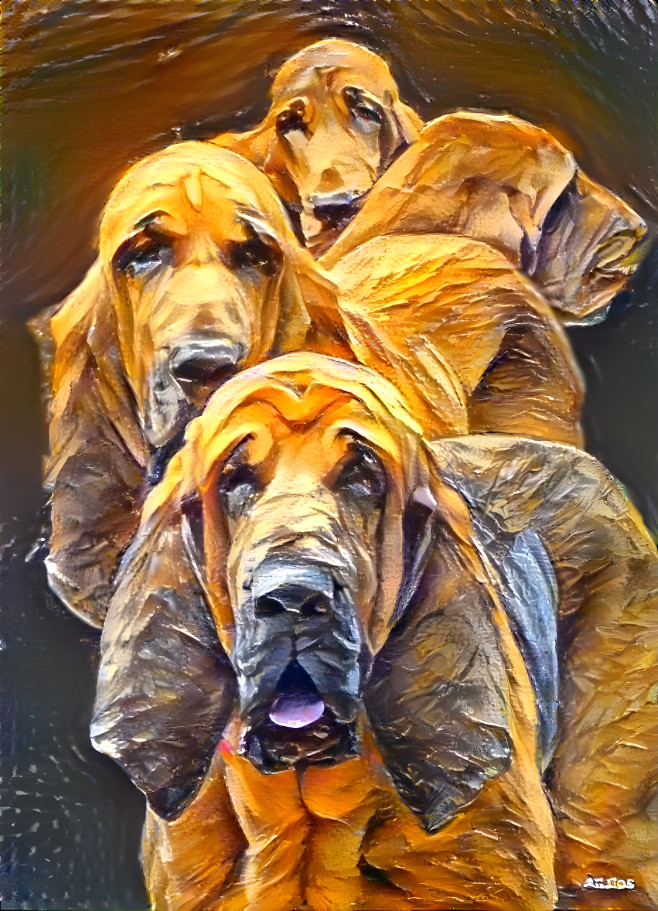 My bloodhounds: Bertie, Rudi, Iranda & Klara