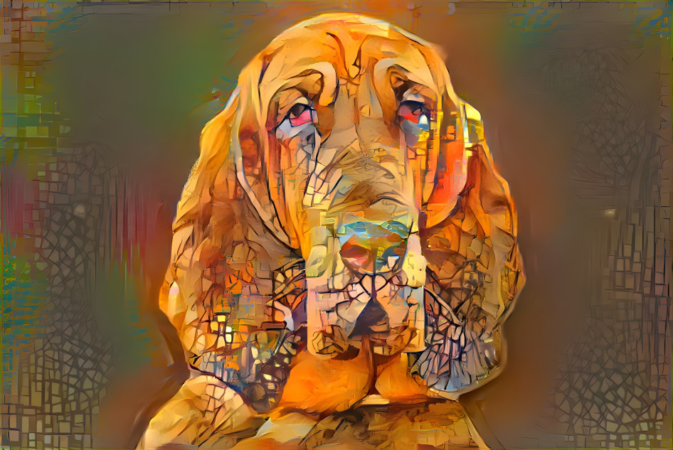 My bloodhound girl Iranda