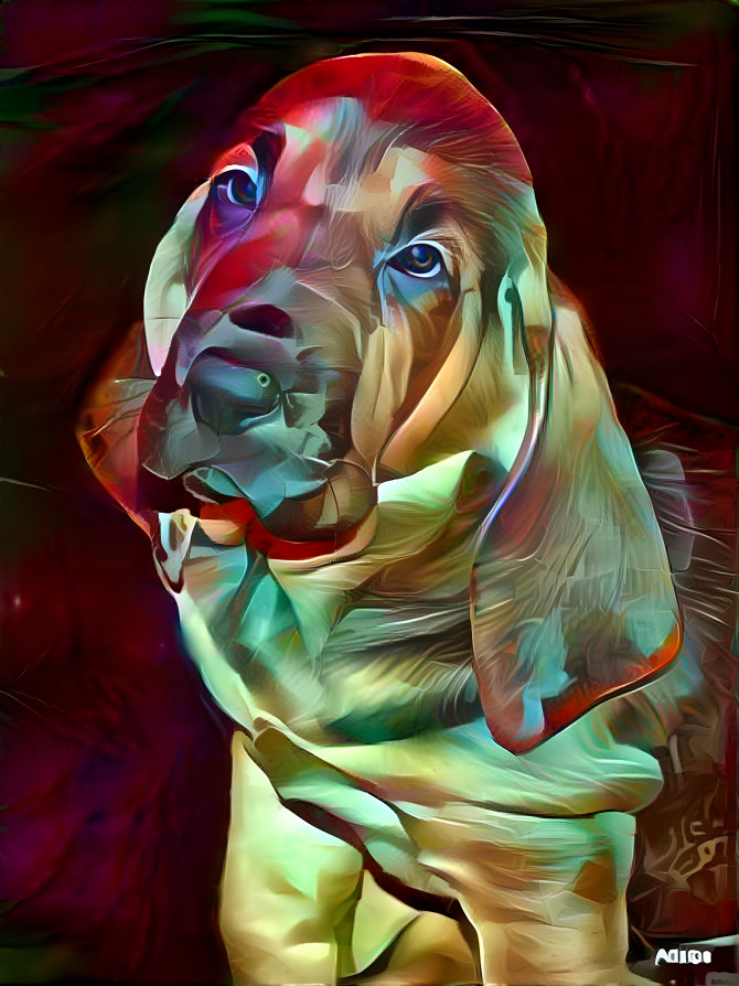 My bloodhound girl Lorenza as a puppy