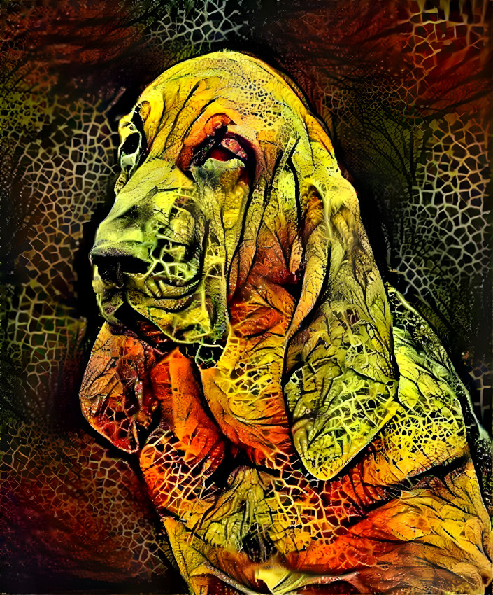 My bloodhound girl IRMA