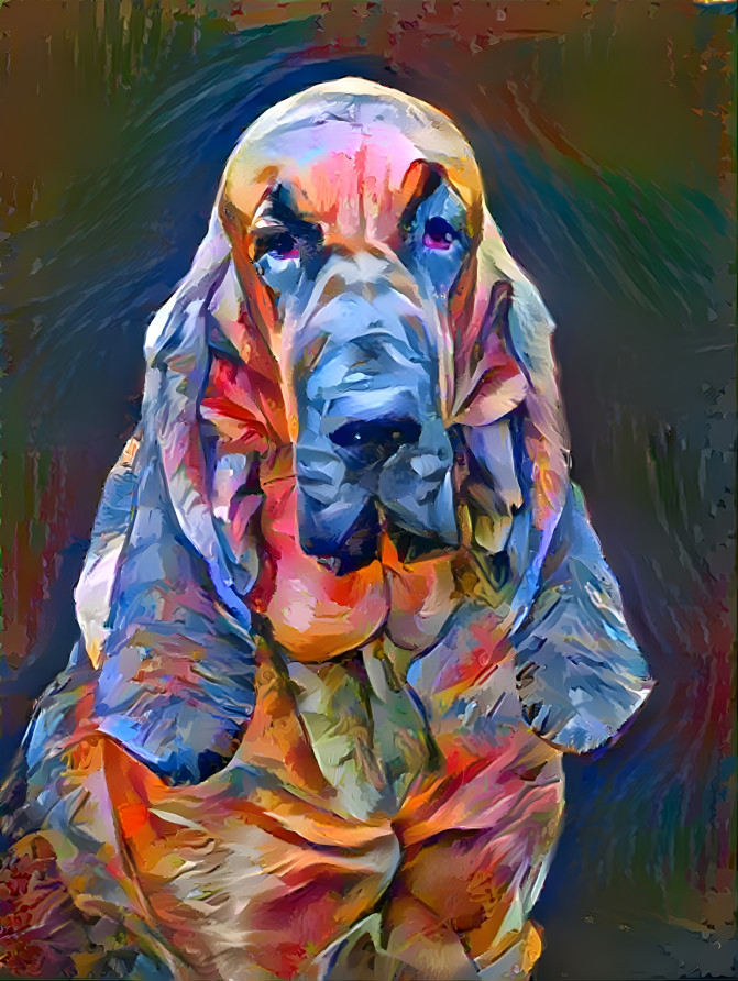 My bloodhound girl LORENZA