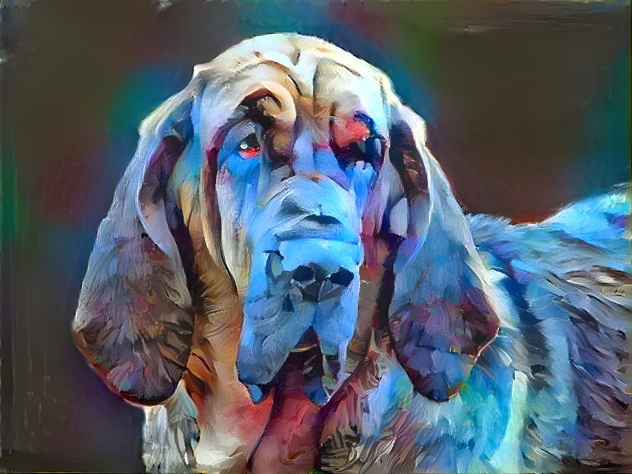 My bloodhound girl MARY