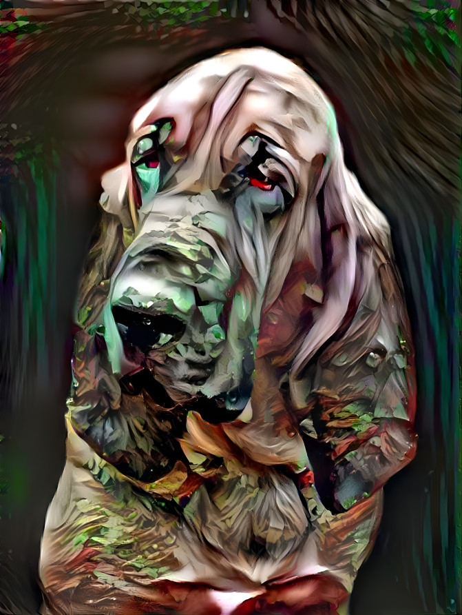 My bloodhound girl Pearleen