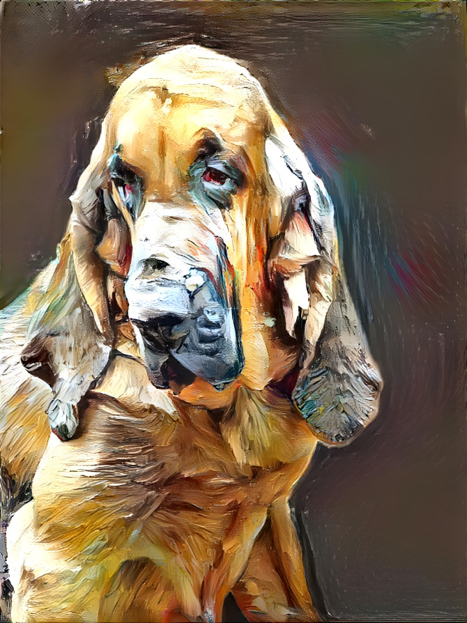 My bloodhound boy Florek