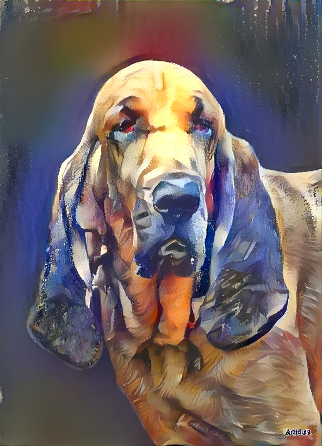 My bloodhound boy RUDI