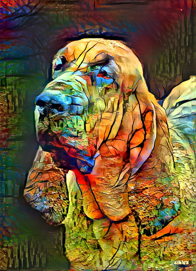 My bloodhound girl PEARLEEN