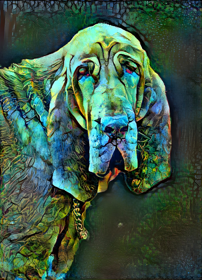 My bloodhound girl IRANDA