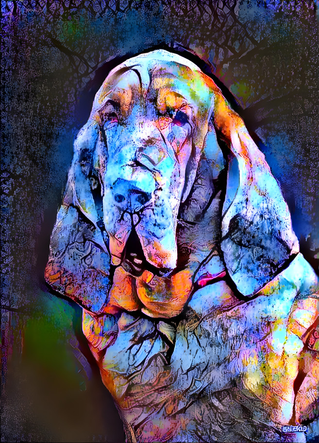 My bloodhound boy RUFUS