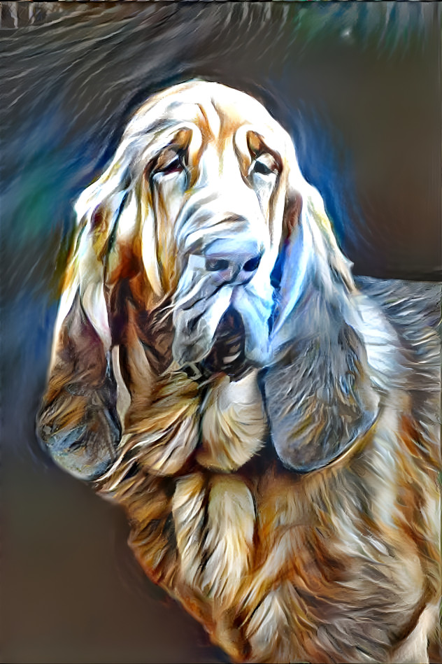 My bloodhound boy RUFUS