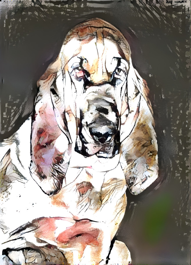 My bloodhound girl PEARLEEN