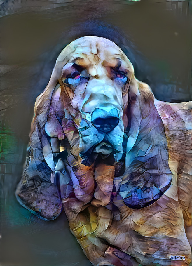 My bloodhound boy RUDI