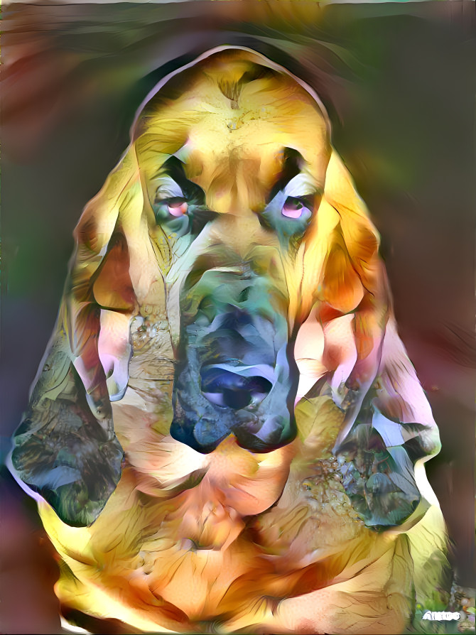 My bloodhound girl LORENZA