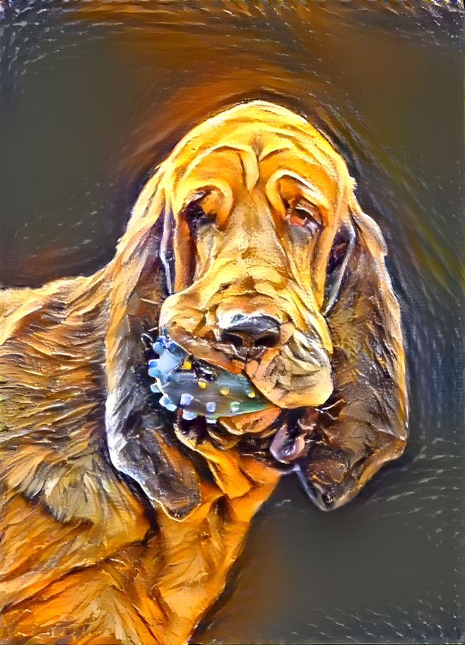 My bloodhound boy RUFUS