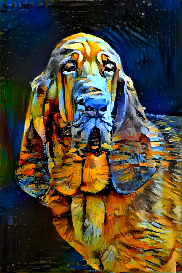 My bloodhound boy RUFUS