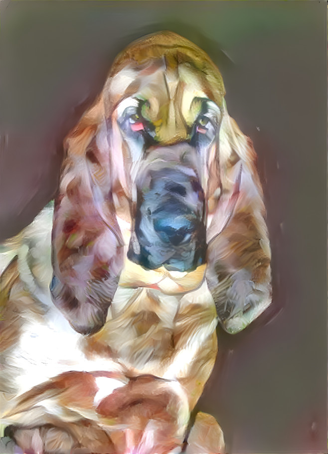 My bloodhound girl PEARLEEN