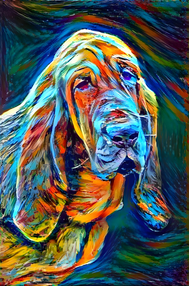 My bloodhound girl KLARA