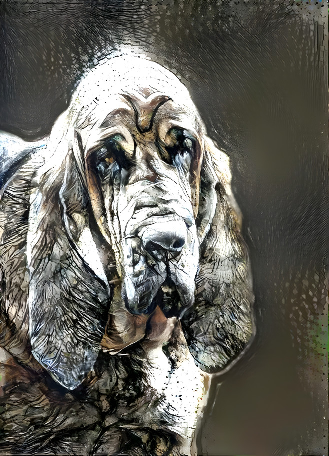 My bloodhound boy PEPPINO